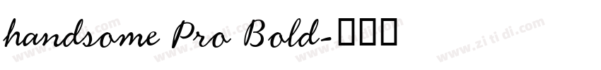 handsome Pro Bold字体转换